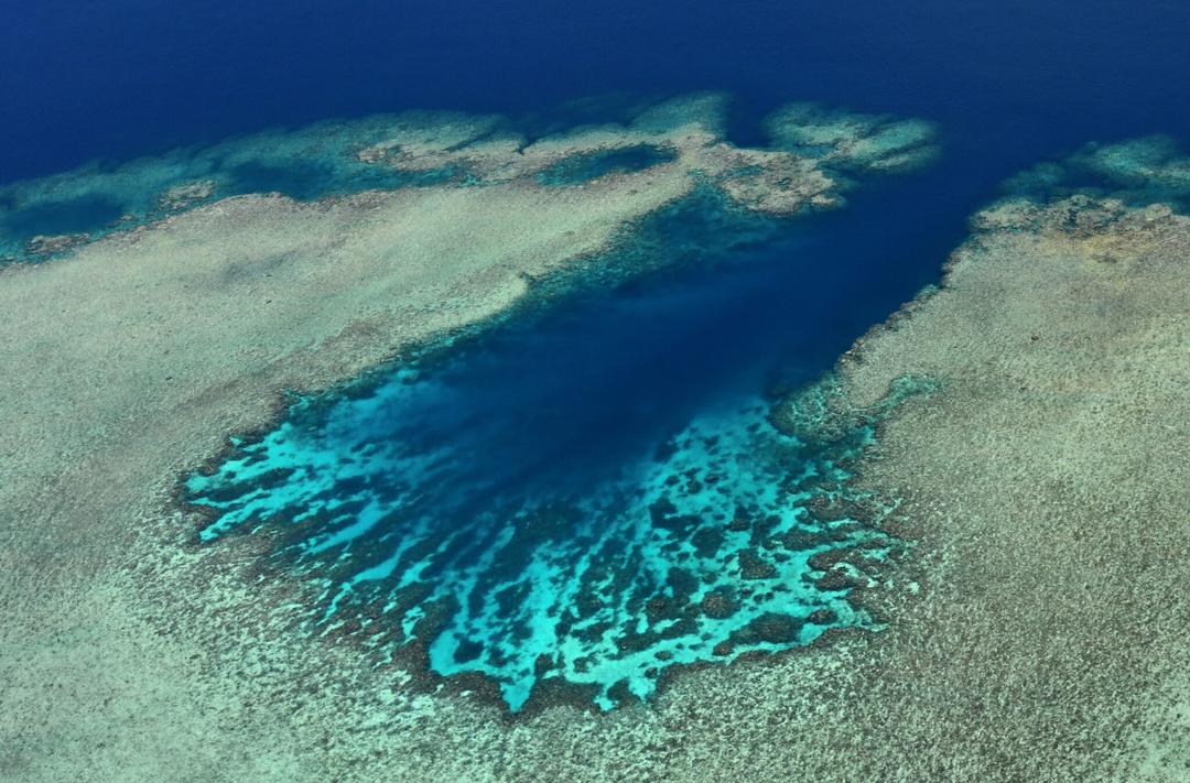 top-diving-spots-australia-beyond-great-barrier-reef-2025