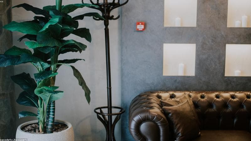 Gaya Hidup Minimalis: Cara Sederhana Menuju Kebahagiaan